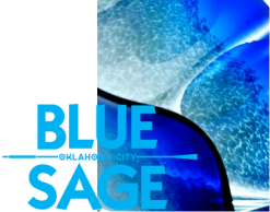 Blue Sage Studios